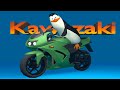 Quiz on Video Tutorial
