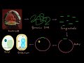 DNA Sequencing and Analysis Concepts
