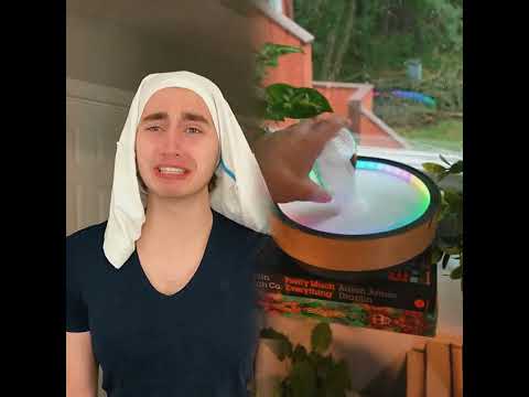 In A Parallel Universe 2