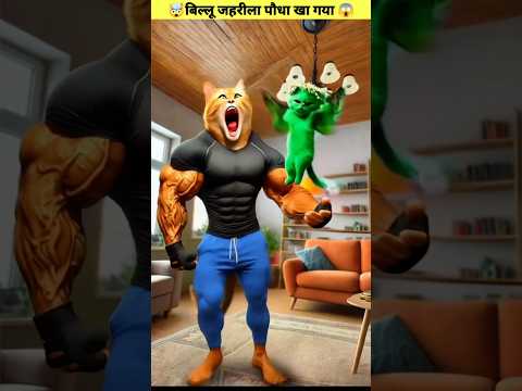 बिल्लू को जहरीला पौधा खाने से इंफेक्शन हो गया😱#shorts #ytshorts #cat