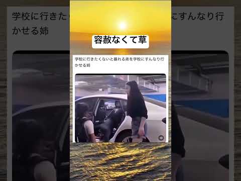 圧倒的手慣れ感#おもしろ #おもしろ動画 #short#兄弟愛#可愛い #おすすめに乗りたい