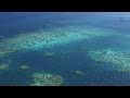 Coral Reef Ecosystem Understanding