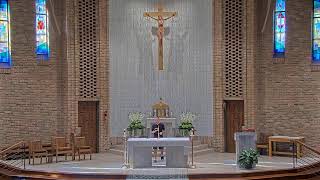 Daily Mass Friday - 8:15 AM - 07/03/2026