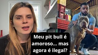 O que você faria se seu cão fosse PROIBIDO por lei?