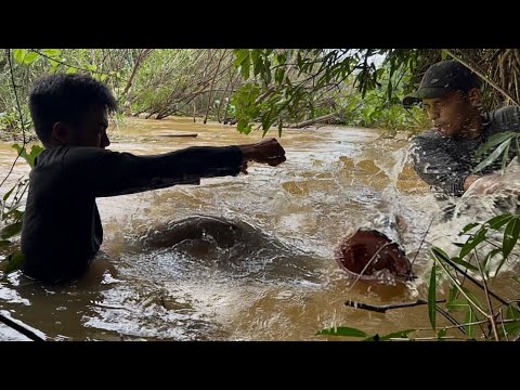 THỦY QUÁI Săn Mồi Sông LA NGÀ Hàm Răng Khủng Thật || A very large predatory fish in the rainforest