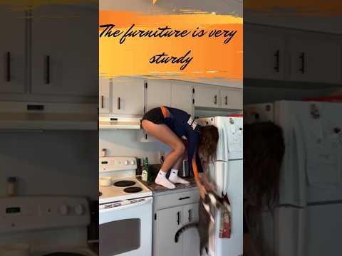 The furniture is very sturdy#bigfail