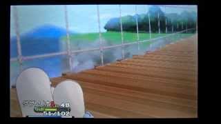 ポケットモンスターXY　つり橋であなをほる　(8つ目のジム手前)