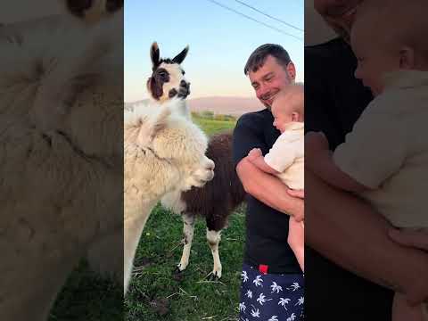 Men On The Farm