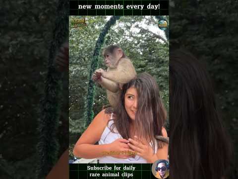 The Wildest Animal Moments Caught on Camera!