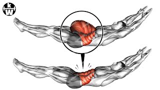 To Regain Your Abs, First Remove Belly Fat.