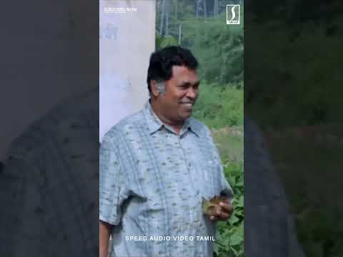 Mayil Swamy Comedy Scene | Tamil Comedy Shorts #tamilcomedy #ytshort #tamilshorts