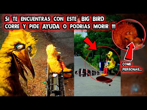 Si te encuentras con este BIG BIRD corre y pide AYUDA o MUERES