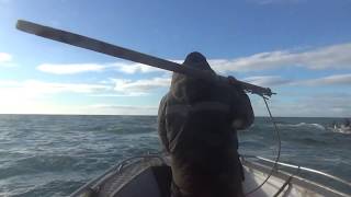 видео