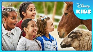 How to Care for Farm Animals | Disney Princess: Create Your World Episode 1 | @disneykids