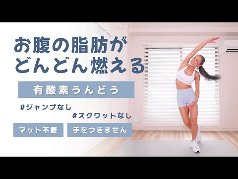 【マット不要❣️】お腹の脂肪を落とす / ジャンプなし、スクワットなし