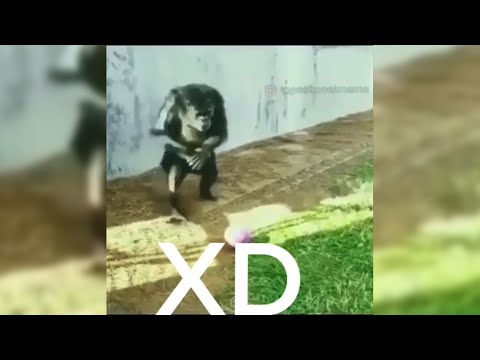 MEMES MUY XD #168