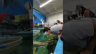 Ladke ne liya challenge