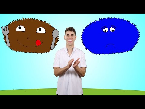 Hidden Picture Game | Learn Feelings | Fun Learning Activities with Adam's Classroom