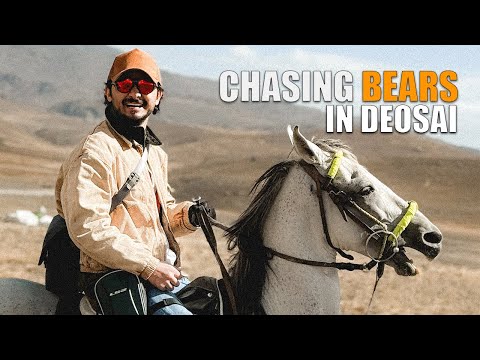 Chasing BEARS in Deosai | Ukhano | Vlog