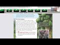 Plant Adaptations and Ecological Succession
