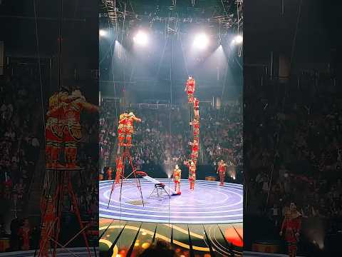 🤩Troupe Brothers Stunt: Insane Teeterboard Acrobatics!