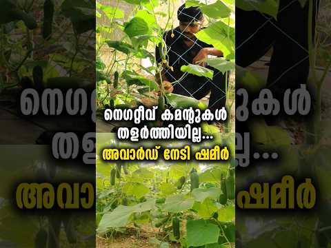 കുറഞ്ഞ സ്ഥലത്ത് കൂടുതൽ കായ്ഫലം, അവാർഡ് നേടി ഷമീർ