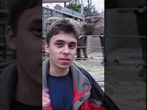 'Me at the zoo' 17 years later.. #Shorts