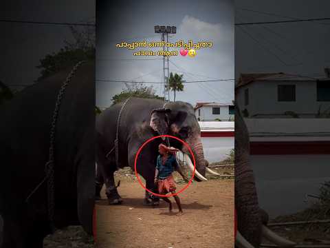 എന്താ ആനയുടെ പേടി 🥵📈#shorts #trending #edit #aana #fyp #viral