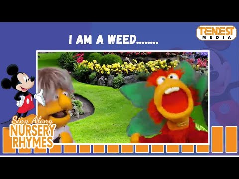 🌻 I AM A WEED | Fun Nursery Rhyme for Kids 🎶 | Nursery Rhymes 10