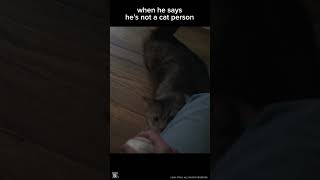 CAUGHT STEALING - Cat Daddy