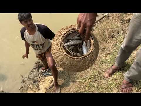 Unique fishing technique! A new method of cast net fishing!