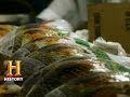 Turkey Preparation and Cooking Essentials