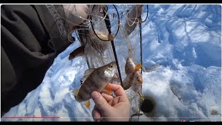видео