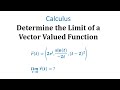 Understanding Limits of Vector-Valued Functions