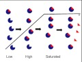 Enzyme Activity and Function Concepts