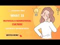 Culture: Material vs Non-Material Concepts