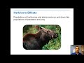 Population Dynamics and Ecological Relationships