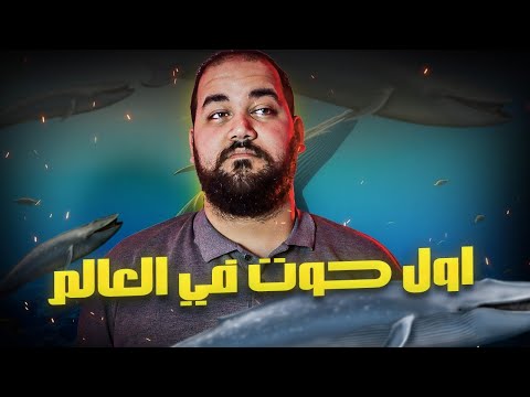 اول حوت في العالم - الرحلة اللي بدأت في الصحراء