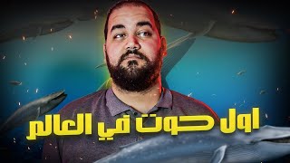 اول حوت في العالم - الرحلة اللي بدأت في الصحراء