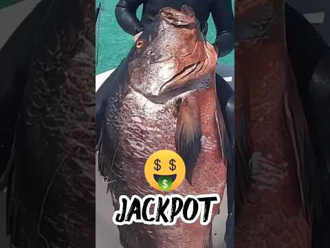 seorang pria berhasil membuat Tangguk anti sunami#shorts #shortsviral #shortvideo #shortsyoutube