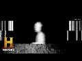 Mysteries of Unidentified Creatures