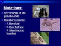Types of Genetic Mutations