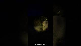 WE WERE NOT ALONE OUT THERE... 💀 #shorts #gaming #horrorgaming #funnymoments