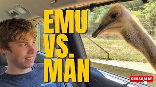 Family Spring Break Gone Wrong... (Emu Attack!)