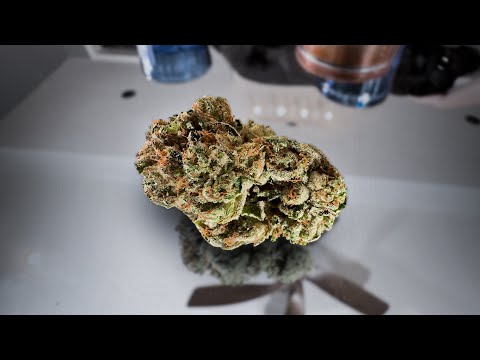 Key Lime Pie Marijuana Monday