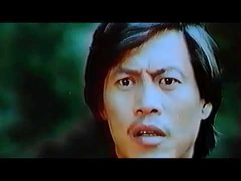 Tiger Love (1977) Film complet en français