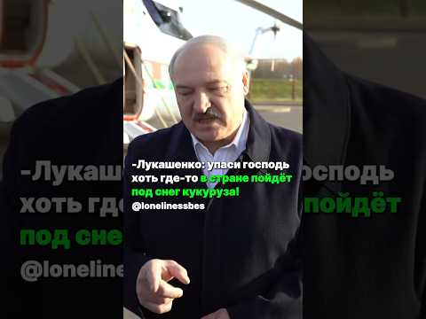 Лукашенко: 11-й час! Я не увидел ни одного комбайна в поле, который бы убирал кукурузу!