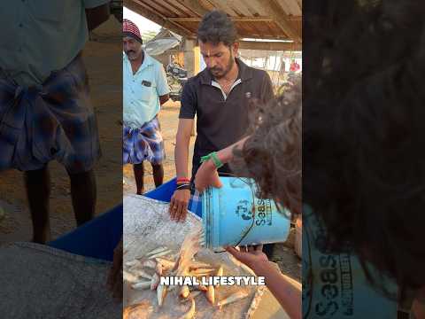 சூப்பர் நகரை மீன் ஏலம் || முத்துக்குடா மீன் சந்தை #reels #seafishing #fishing