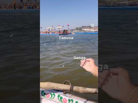 Mahakumbh Prayagraj✨#shorts #viralvideo   #ganga #trending #youtubeshorts #mahadev #mahakumbh2025