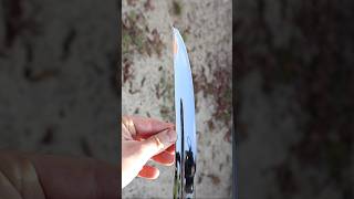 Rusted Stripe Forged into RAZOR Sharp SABER